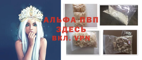 гидра Аркадак