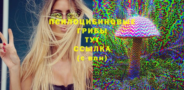 молекула духа Армянск